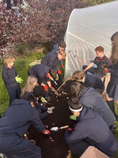 Chaos Bulb Planting with TY Students