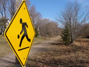 Trail Runner