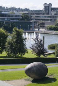 UCD campus
