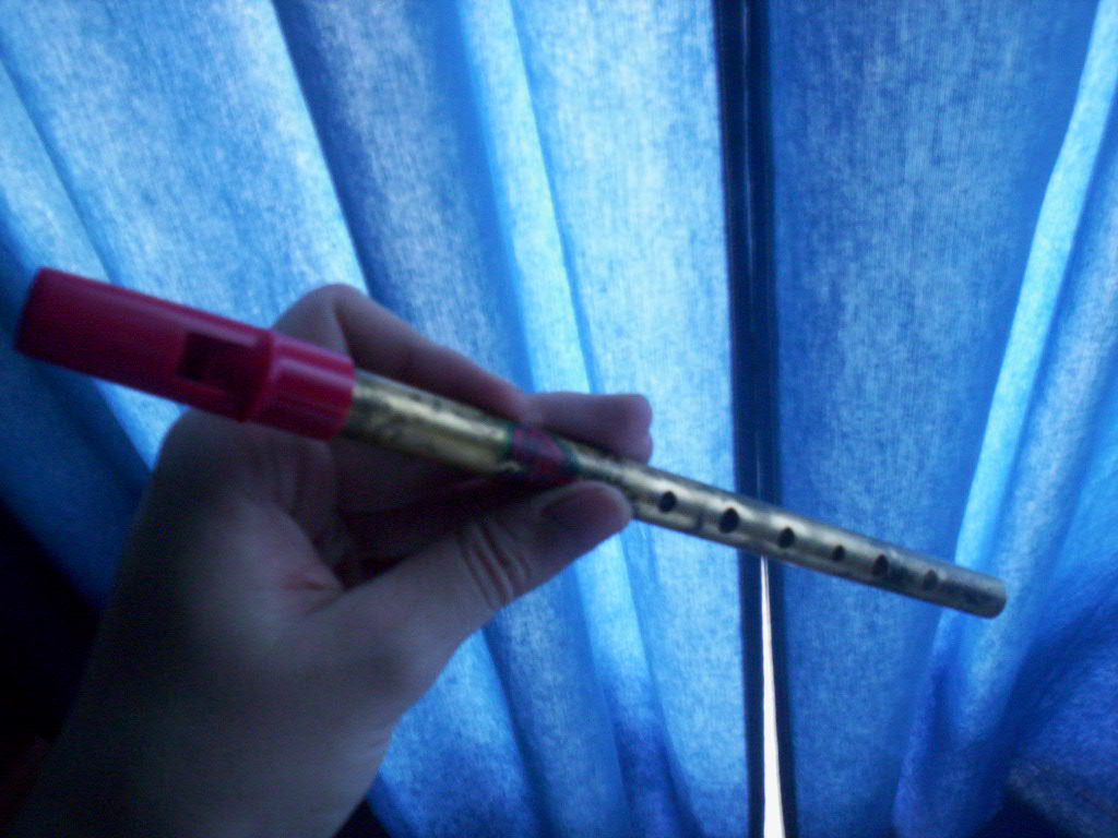tin whistle