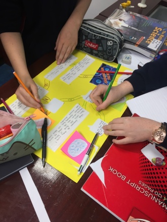 1st Year Science students work on stem cells project Photo: Ms. O'Sullivan
