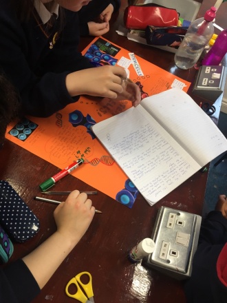 1st Year Science students work on stem cells project Photo: Ms. O'Sullivan
