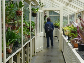 6th Year Geography Trip to the Botanic Gardens. Photo: Elan Bondi
