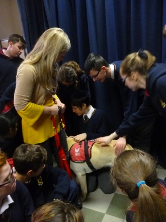 Autism Assistance Dogs Ireland representative talks to Junior Students Photo: 3rd Year student
