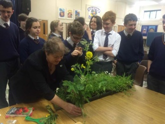 Biodiversity talk from Dublin City Council. Photo: Ms. O'Sullivan
