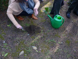 Planting of hazel tree in Stratford, October 2015 Photo: Christina Greene
