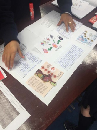 1st Year Science students working on a project about Stem Cells. Photo: Ms O'Sullivan

