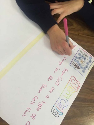 1st Year Science students working on a project about Stem Cells. Photo: Ms O'Sullivan
