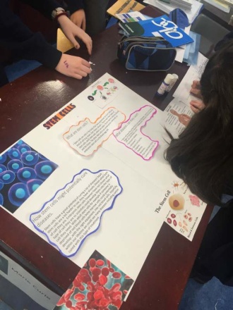 1st Year Science students working on a project about Stem Cells. Photo: Ms O'Sullivan

