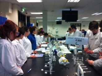 6th Year Leaving Certificate Biology Experiments, NUI, Maynooth. Photo: Ms. O'Sullivan
