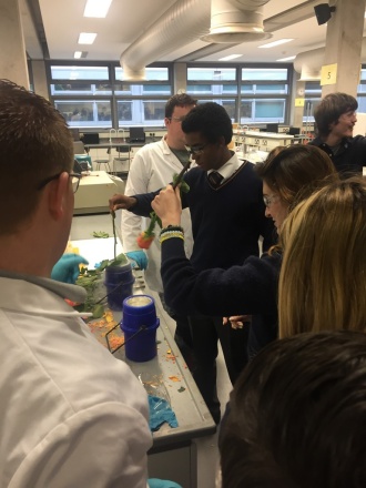 Science Week 2016: 5th and 6th Years in Trinity's Chemistry Lab Photo: Ms O'Sullivan
