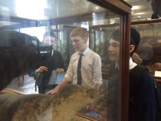 1st and 2nd Year Visit to the Natural History Museum. Photo: Ms. O'Sullivan 
