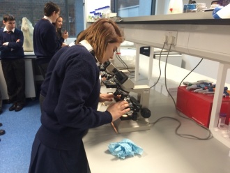 TY and 6th Year Visit to the Neuroscience Lab, Trinity. Photo: Ms. O'Sullivan 
