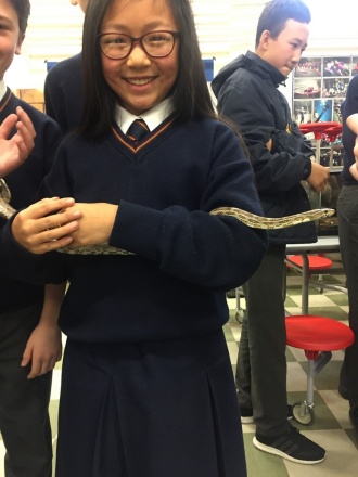 Science Week 2016 - loving our reptile friends! Photo: Ms. O'Sullivan
