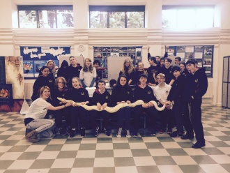Science Week 2016 - loving our reptile friends! Photo: Ms. O'Sullivan
