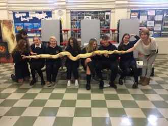 Science Week 2016 - loving our reptile friends! Photo: Ms. O'Sullivan
