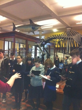 5th and 6th Year visit to Natural History Museum Photo: Ms. O'Sullivan

