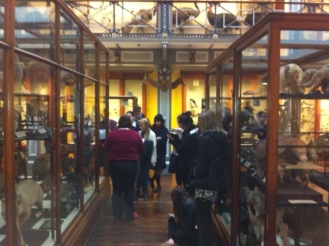 5th and 6th Year visit to Natural History Museum Photo: Ms. O'Sullivan
