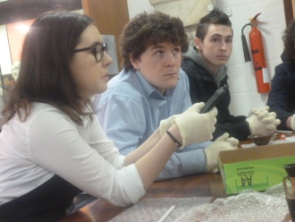 5th and 6th Year Classics students at UCD Classics Museum. Photo: Ms. Donohoe
