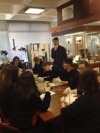 TY students in the UCD Classics Museum Photo: Ms. Donohoe
