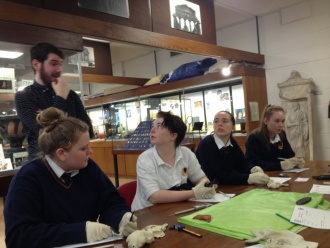 TY students in the UCD Classics Museum Photo: Ms. Donohoe
