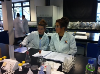 6th Year Biology Practicals, Maynooth Photo: Ms. O'Sullivan
