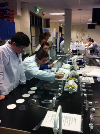 6th Year Biology Practicals, Maynooth Photo: Ms. O'Sullivan
