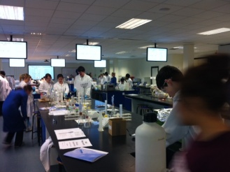 6th Year Biology Practicals, Maynooth Photo: Ms. O'Sullivan
