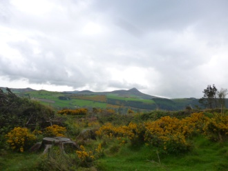 School Walk along part of the Wicklow Way. Photo: Ruth Somers 
