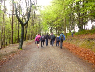 School Walk along part of the Wicklow Way. Photo: Ruth Somers 
