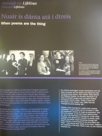 An excerpt from the Lifelines exhibition. Photo: Ms. O'Kelly
