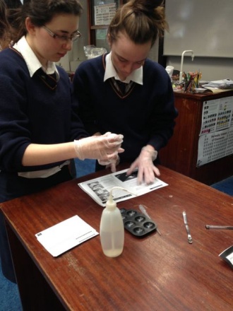 TY students at the Crime Scene Photo: Ms. McCarthy
