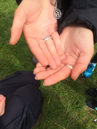 5th Year Ecology Field trip to Dublin Zoo Photo: Ms. O'Sullivan
