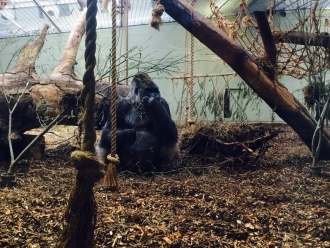 5th Year Ecology Field trip to Dublin Zoo Photo: Ms. O'Sullivan
