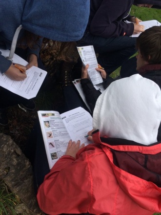 5th Year Ecology Field trip to Dublin Zoo Photo: Ms. O'Sullivan
