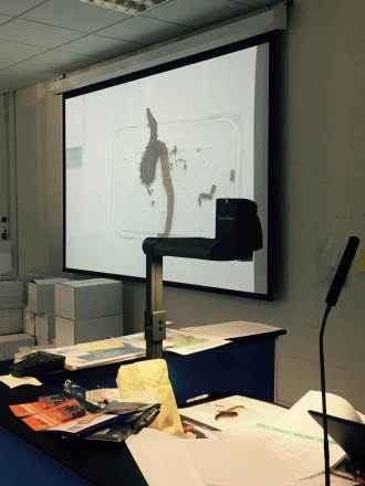 Maynooth University Biology Labs Photo: Ms O'Sullivan
