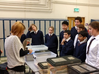 Science Week 2016 - Reptiles in the Hall! Photo: Mr. Fennell 
