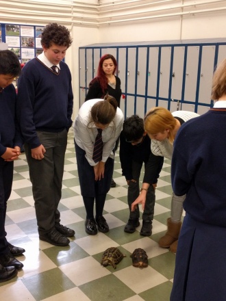 Science Week 2016 - Reptiles in the Hall! Photo: Mr. Fennell 
