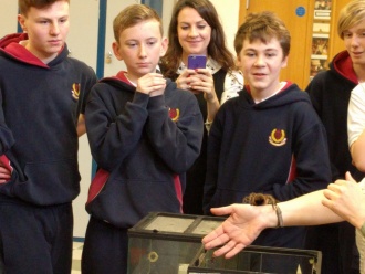 Science Week 2016 - Reptiles in the Hall! Photo: Mr. Fennell 
