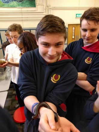 Science Week 2016 - Reptiles in the Hall! Photo: Mr. Fennell 
