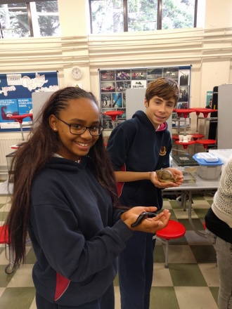 Science Week 2016 - Reptiles in the Hall! Photo: Mr. Fennell 
