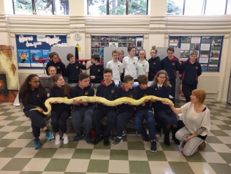 Science Week 2016 - Reptiles in the Hall! Photo: Mr. Fennell 
