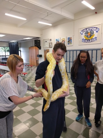 Science Week 2016 - Reptiles in the Hall! Photo: Mr. Fennell 
