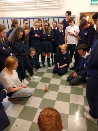 Science Week 2016 - Reptiles in the Hall! Photo: Mr. Fennell 
