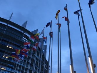 TYs and some 5th Years at the European Parliament in Strasbourg. Photo: Ms. Gordon
