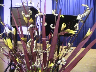 Tygrad Img 3232 
