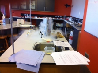 Science Week 2012: W5 Visit. Photo: Ms. McCarthy 
