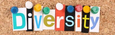 Diversity and Inclusion in schools