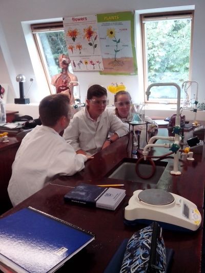 1st Year Science Proteins experiment