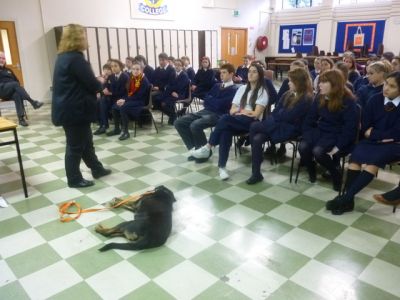 3rd Year CSPE students invite D.S.P.C.A. to Stratford as part of fundraiser